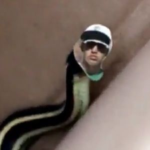 Meet your Posher, Peter